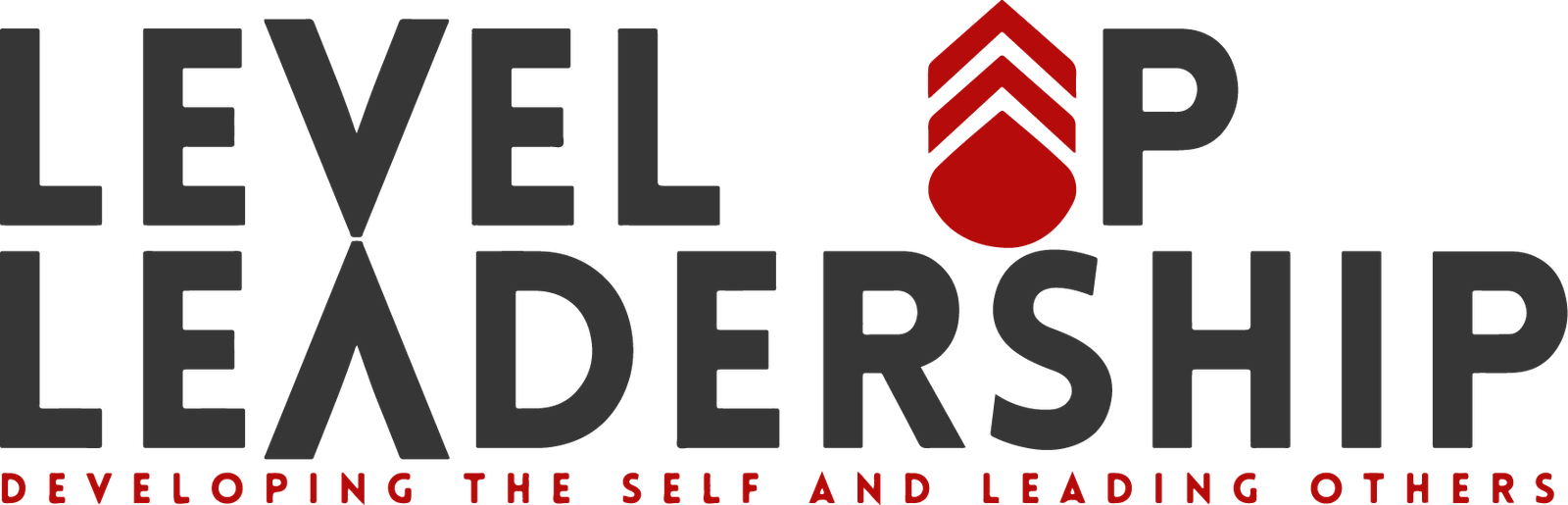 Level Up Leadership Logo